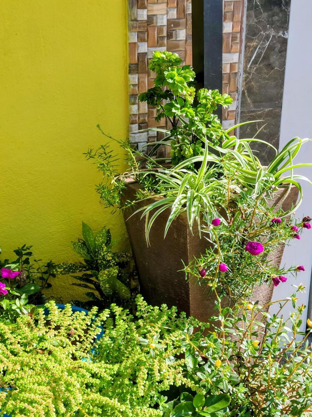 Hospedagem Encantos Da Serra Itatiaia  Exteriér fotografie